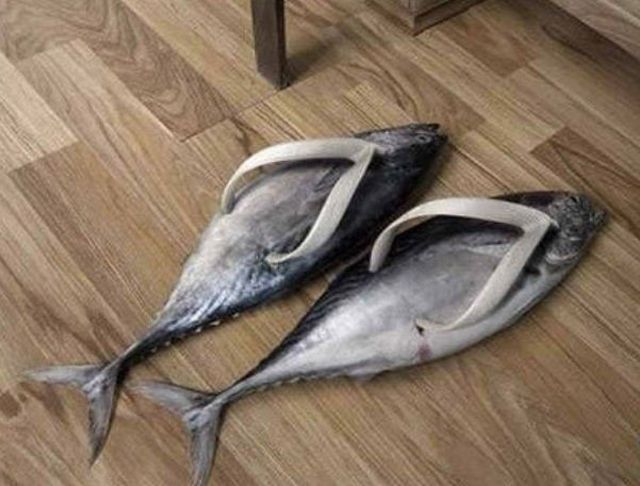 morning picdump 54 pics 6.html - 54 HD Photos | Premium Gallery 2013