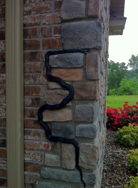 morning picdump 54 pics 24.html - 54 HD Photos | Premium Gallery 2013