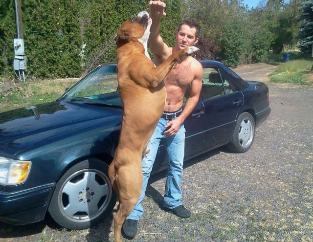 morning picdump 54 pics 24.html - 54 HD Photos | Premium Gallery 2013