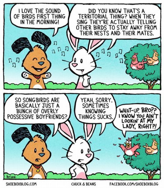 morning picdump 54 pics 24.html - 54 HD Photos | Premium Gallery 2013