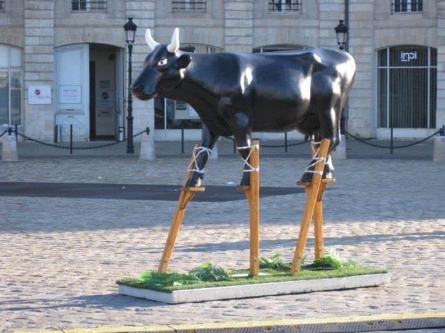 morning picdump 54 pics 24.html - 54 HD Photos | Premium Gallery 2013