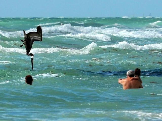 morning picdump 55 pics 14.html - 55 HD Photos | Premium Gallery 2013