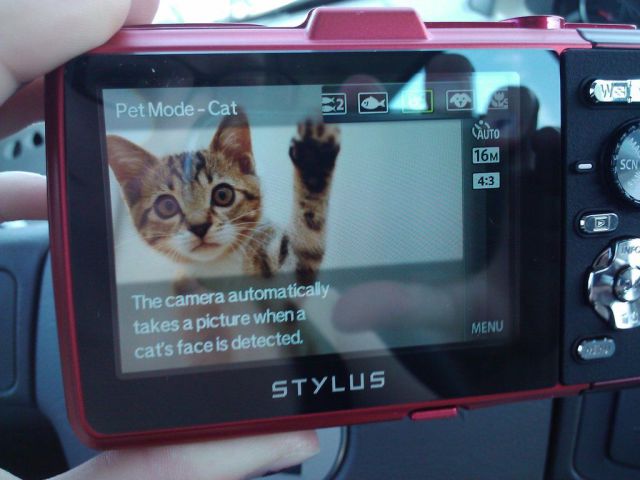 daily picdump 97 pics 15.html - 97 HD Photos | Premium Gallery 2013