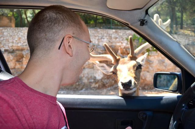 morning picdump 55 pics 2.html - 55 HD Photos | Premium Gallery 2013