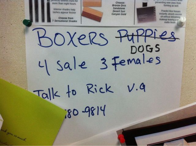 morning picdump 55 pics 2.html - 55 HD Photos | Premium Gallery 2013