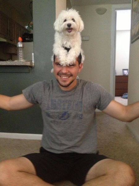 Morning Picdump