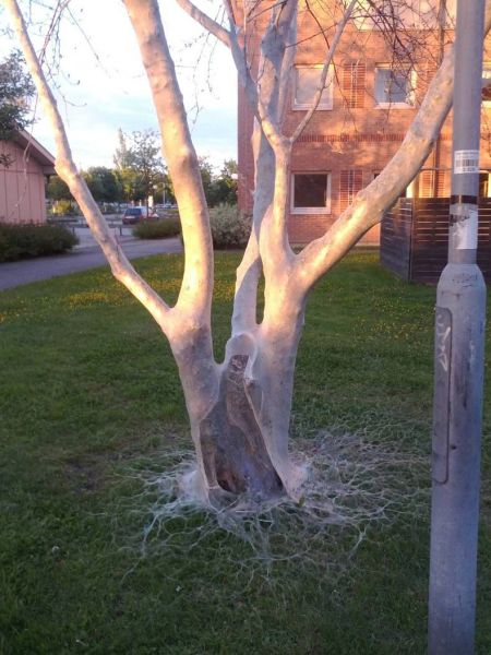morning picdump 55 pics 3.html - 55 HD Photos | Premium Gallery 2013
