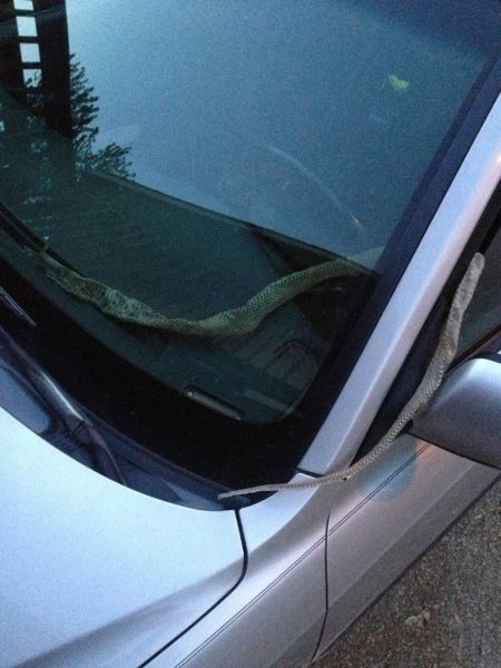 morning picdump 55 pics 3.html - 55 HD Photos | Premium Gallery 2013