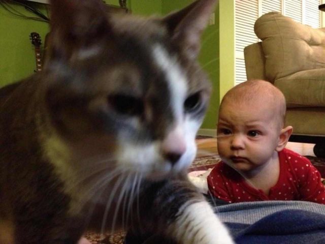 morning picdump 55 pics 3.html - 55 HD Photos | Premium Gallery 2013