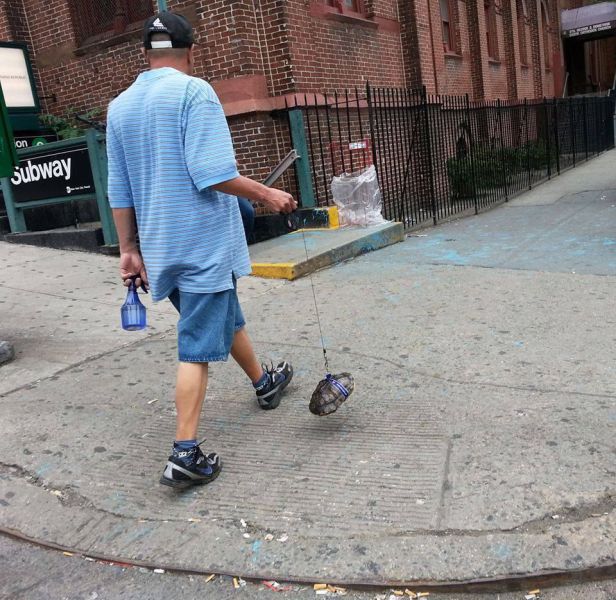 morning picdump 55 pics 3.html - 55 HD Photos | Premium Gallery 2013