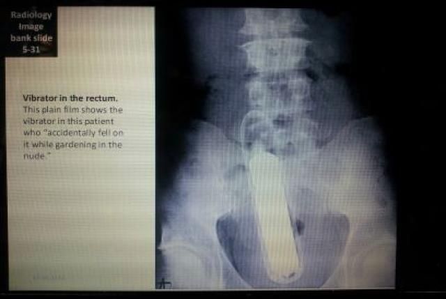 grownup corner 54 pics 3 gifs 5 videos 14.html - 54 HD Video | Premium Gallery 2013