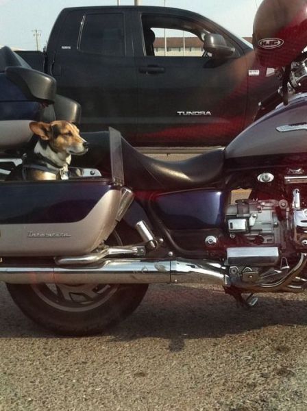 morning picdump 52 pics 11.html - 52 HD Photos | Premium Gallery 2013