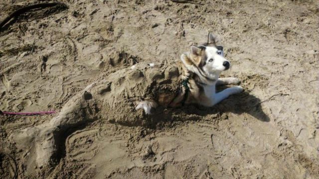 daily picdump 94 pics 9.html - 94 HD Photos | Premium Gallery 2013