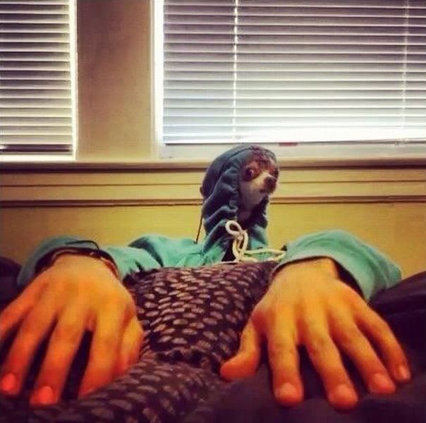 daily picdump 94 pics 9.html - 94 HD Photos | Premium Gallery 2013