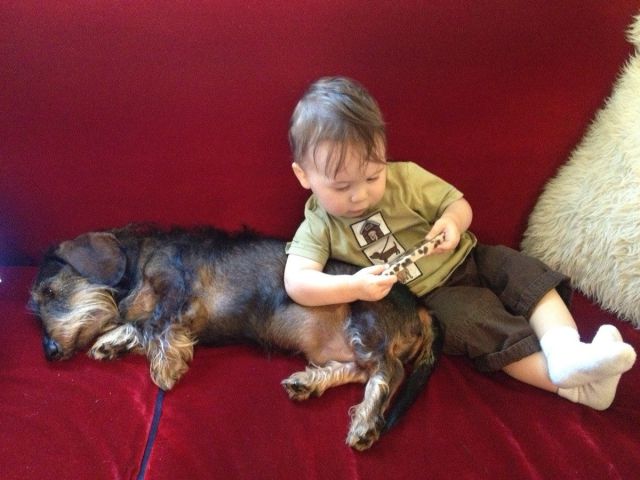 daily picdump 94 pics 9.html - 94 HD Photos | Premium Gallery 2013