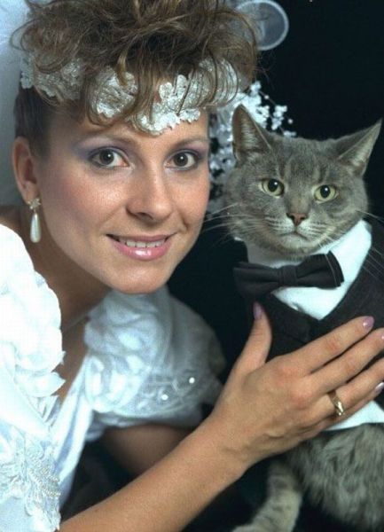 daily picdump 94 pics 9.html - 94 HD Photos | Premium Gallery 2013