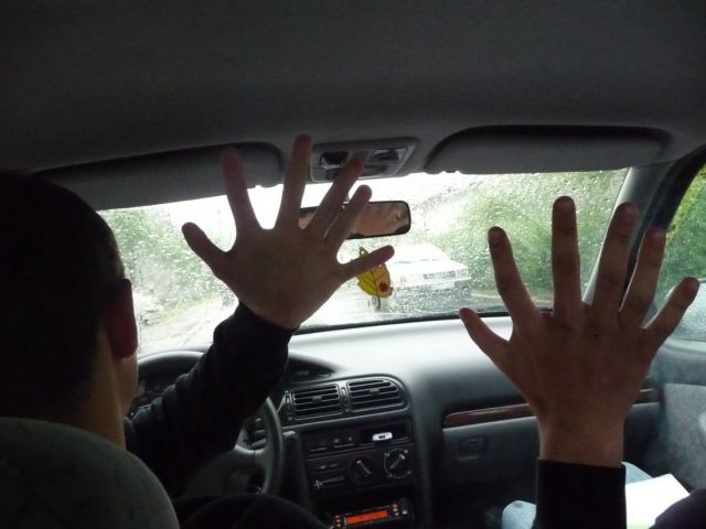 daily picdump 94 pics 9.html - 94 HD Photos | Premium Gallery 2013