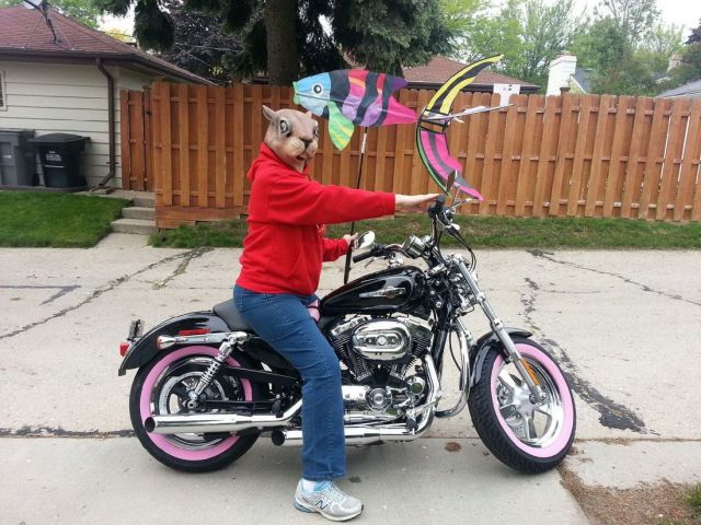 morning picdump 53 pics 22.html - 53 HD Photos | Premium Gallery 2013