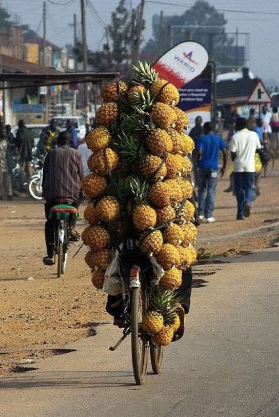 morning picdump 53 pics 22.html - 53 HD Photos | Premium Gallery 2013