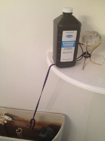 morning picdump 53 pics 22.html - 53 HD Photos | Premium Gallery 2013