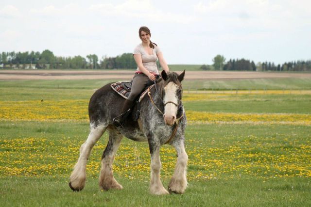 morning picdump 53 pics 22.html - 53 HD Photos | Premium Gallery 2013