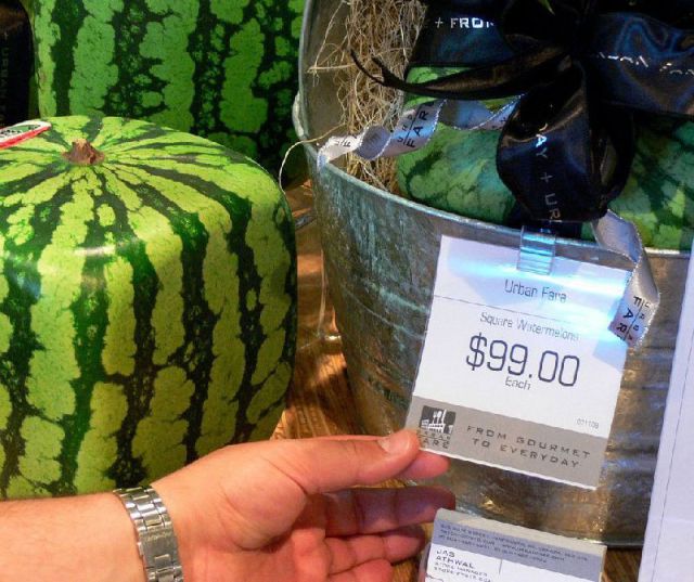 morning picdump 53 pics 22.html - 53 HD Photos | Premium Gallery 2013