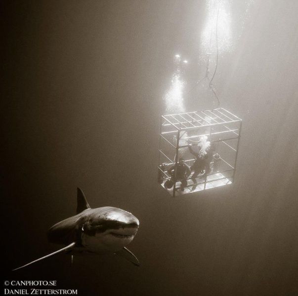 morning picdump 54 pics 27.html - 54 HD Photos | Premium Gallery 2013