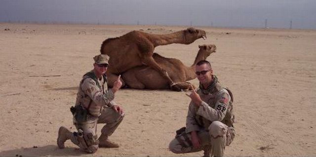 morning picdump 53 pics 5.html - 53 HD Photos | Premium Gallery 2013