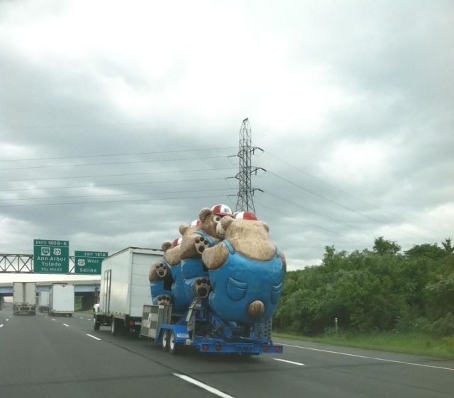 morning picdump 53 pics 5.html - 53 HD Photos | Premium Gallery 2013