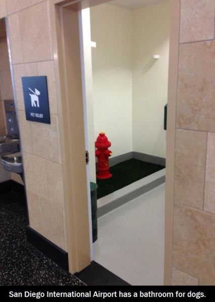 morning picdump 53 pics 5.html - 53 HD Photos | Premium Gallery 2013