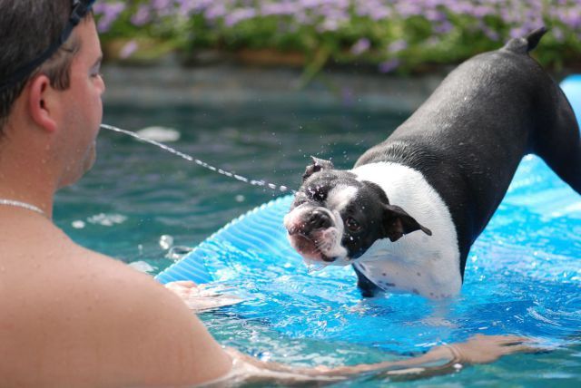 morning picdump 53 pics 5.html - 53 HD Photos | Premium Gallery 2013