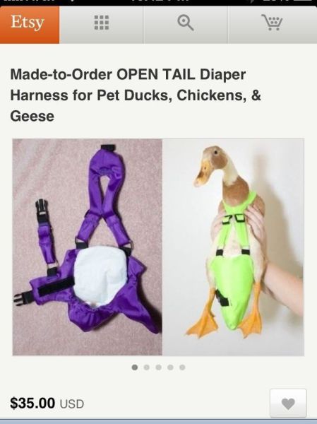 morning picdump 55 pics 5.html - 55 HD Photos | Premium Gallery 2013