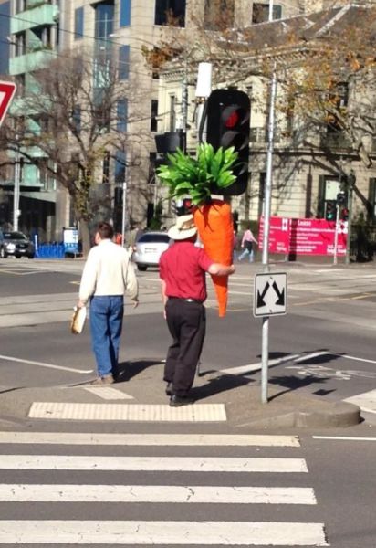 morning picdump 55 pics 5.html - 55 HD Photos | Premium Gallery 2013