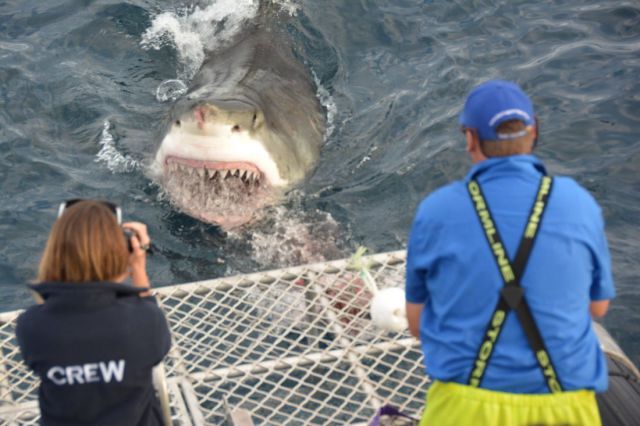 morning picdump 55 pics 5.html - 55 HD Photos | Premium Gallery 2013