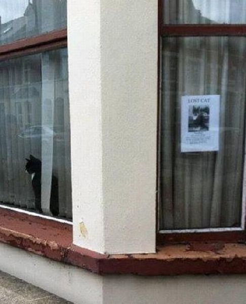 morning picdump 55 pics 5.html - 55 HD Photos | Premium Gallery 2013