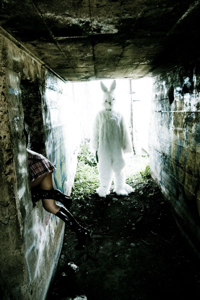 Disturbing GIFS and Pics That Might Still Make You Say, WTF?