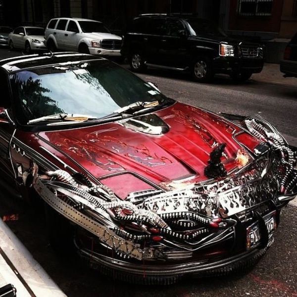 morning picdump 52 pics 9.html - 52 HD Photos | Premium Gallery 2013