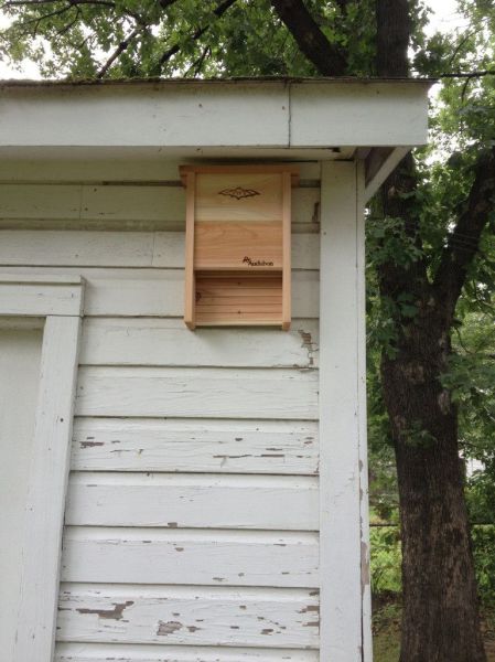 morning picdump 52 pics 9.html - 52 HD Photos | Premium Gallery 2013