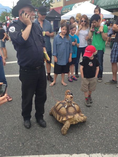 morning picdump 52 pics 9.html - 52 HD Photos | Premium Gallery 2013