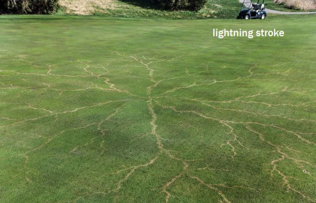 morning picdump 53 pics 12.html - 53 HD Photos | Premium Gallery 2013