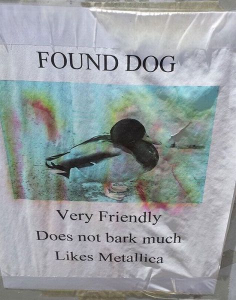 morning picdump 53 pics 12.html - 53 HD Photos | Premium Gallery 2013