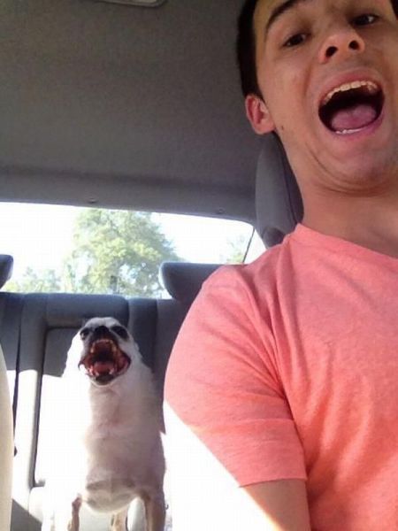 morning picdump 53 pics 12.html - 53 HD Photos | Premium Gallery 2013