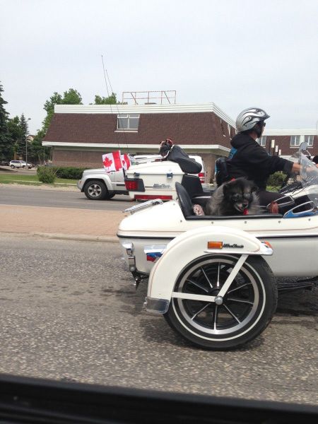 morning picdump 53 pics 21.html - 53 HD Photos | Premium Gallery 2013