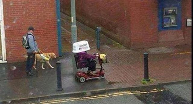 morning picdump 53 pics 21.html - 53 HD Photos | Premium Gallery 2013