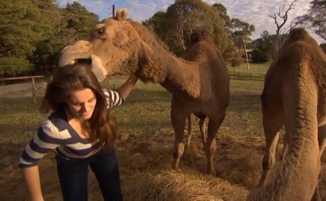 morning picdump 53 pics 21.html - 53 HD Photos | Premium Gallery 2013