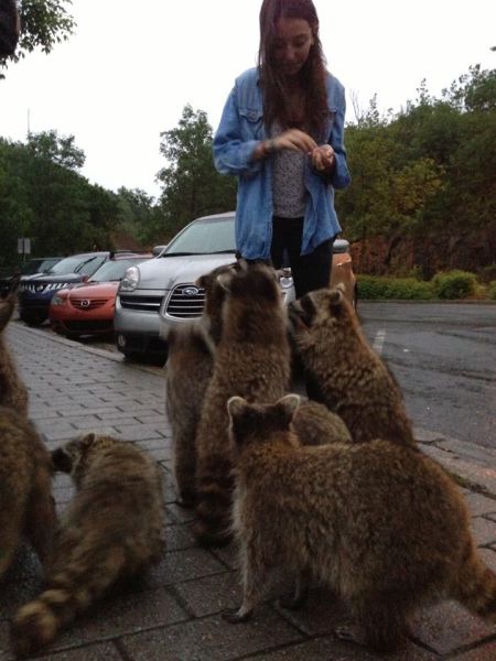 morning picdump 53 pics 21.html - 53 HD Photos | Premium Gallery 2013