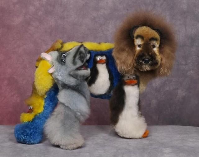 Real-Life Dogs Are Treated to the Oddest Grooming Session