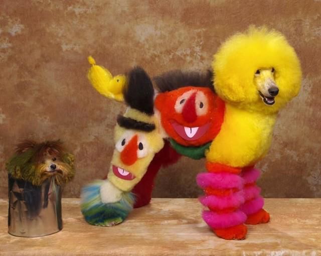 Real-Life Dogs Are Treated to the Oddest Grooming Session