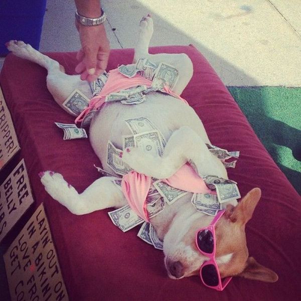 morning picdump 53 pics 15.html - 53 HD Photos | Premium Gallery 2013