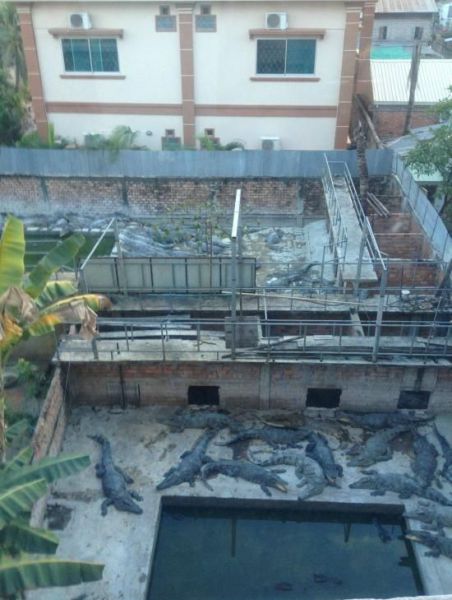 morning picdump 53 pics 15.html - 53 HD Photos | Premium Gallery 2013